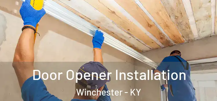  Door Opener Installation Winchester - KY