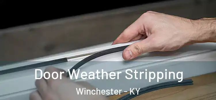 Door Weather Stripping Winchester - KY