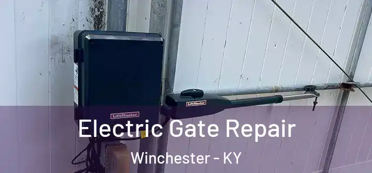  Electric Gate Repair Winchester - KY