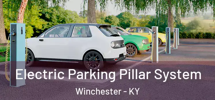  Electric Parking Pillar System Winchester - KY