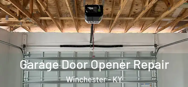  Garage Door Opener Repair Winchester - KY