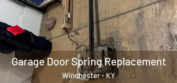  Garage Door Spring Replacement Winchester - KY