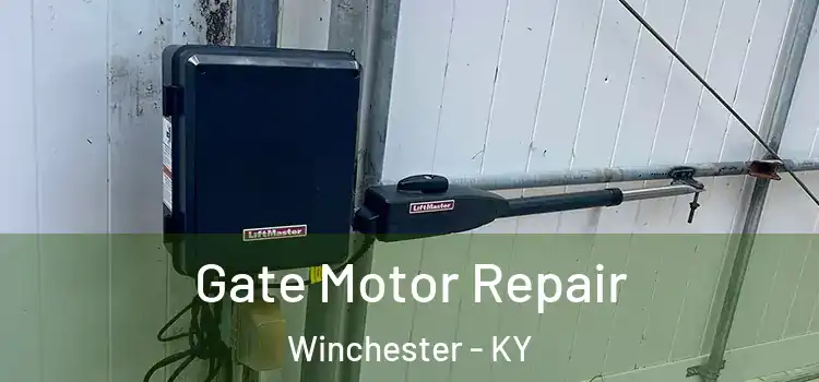 Gate Motor Repair Winchester - KY