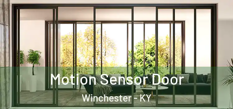 Motion Sensor Door Winchester - KY