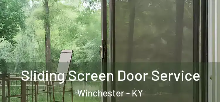 Sliding Screen Door Service Winchester - KY